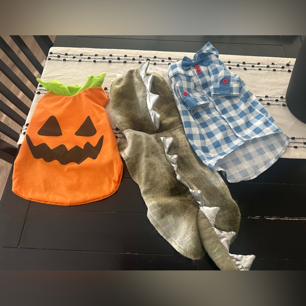 Dog Cat Pet size Med M Halloween Costume Lot Pumpkin Dinosaur & Checkered shirt